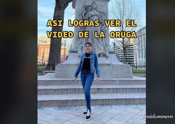 El Video De La Oruga Hondureña - La Oruga 2.0 Video Viral Twitter ...