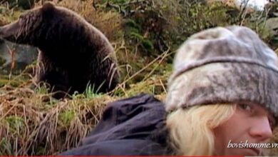 Timothy Treadwell Real Video Leak on Twitter