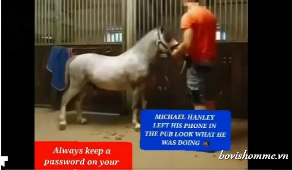 Michael Hanley Horse Video Twitter